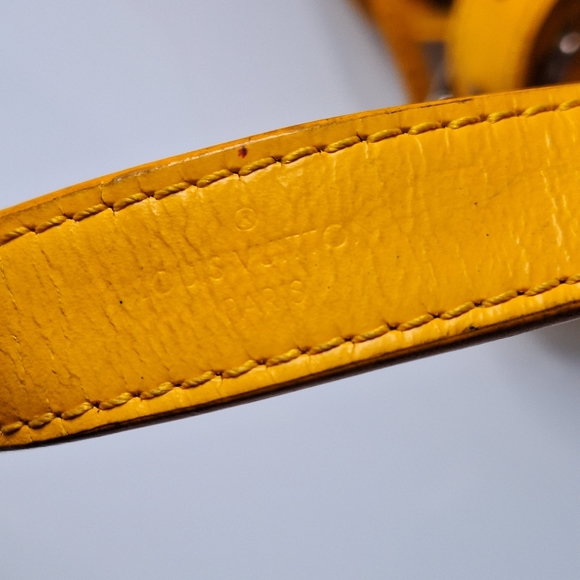 Louis Vuitton epi bag